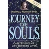 Journey Of Souls Knyga Llewellyn