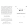 Journey Of Souls Knyga Llewellyn