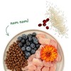 Kačių Maistas - BOSCH Sanabelle Sensitive vištiena Sausas 2kg