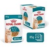 Kačių Maistas - Royal Canin Ageing 15+ Gabaliukai padaže 12x85g