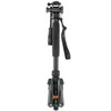Kamera - 3 Legged Thing Punks Taylor 2.0 1.58m 30kg Matinė Juoda