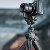 Kameros priedas - PGYTECH SNAPLOCK MINI REVERSE BALL HEAD (PGYTech, 360° panning, 1/4" screw, cold shoe mount)