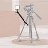 Kameros Priedas - ULANZI VIJIM LS-04 2-Segmentinis Rankos 1/4'' Kamuolinis Galvutė 59 cm