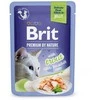 Brit Premium Delicate Fillets in Jelly su upėtakiu 85 g
