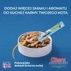 Kačių Skanėstai - Inaba Churu Tunų su Skaldytu Moliūgu