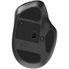 Gembird MUSW2-6B-02 Dual-mode belaidė pelė (2.4G + BT), 2400 DPI, 6-button, juodas