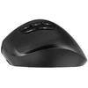 Gembird MUSW3-9B-01 Triple-mode wireless ergonomic pelė (2.4G + BT + USB), 2400 DPI, 9-button, juodas