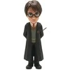 MINIX HARRY POTTER - HARRY POTTER