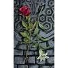 Kortų Rinkinys - Llewellyn Vampyrų Tarot 78 Kortos 240 Puslapių Knyga