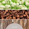 Refill for reed diffuser 500 ml Baltas MUSK MILLEFIORI