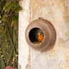 FERPLAST PIKI 1 WILD BIRD FEEDER - karmnik ruda