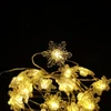 LED lemputė - Modee ML-C3019 10 LED šiltai baltos snaigių girliandos