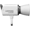 LED lempos GODOX Litemons LA300R