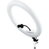 LED Žiedinė Šviesa - MITOYA MTY-18C 50W 2700-6500K Balta 45cm