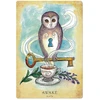 Llewellyn Anatomy Of A Witch Oracle Kortos