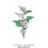 Llewellyn Hedgewitch Botanical Oracle Kortos