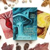 Llewellyn Liminal Spirits Oracle Kortos