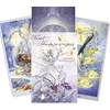 Llewellyn Shadowscapes Taro Kortos Ir Knyga (rinkinys)