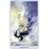Llewellyn Shadowscapes Taro Kortos Ir Knyga (rinkinys)