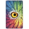 Llewellyn Tarot Of The Owls Kortos