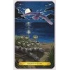Llewellyn Tarot Of The Owls Kortos