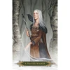 Lo Scarabeo A Compendium Of Witches Oracle Kortos