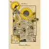 Lo Scarabeo The Magickal Botanical Oracle Kortos