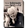 Lo Scarabeo The Way Jodorowsky Explained Tarot To His Cat Kortos