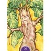 Lo Scarabeo Wicca Oracle Kortos