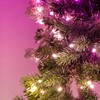 Lubinis šviestuvas Kalėdų Dekoracija - Twinkly Išankstinio Apšvietimo Venecija - 50 RGB LED, Regal 24" Žalias Laidas, Tipas C