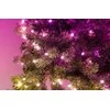 Twinkly Regal Prelit 270 LED RGB 150cm Bluetooth WIFI LED Christmas medžio lights