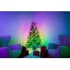 Twinkly Regal Prelit 270 LED RGB 150cm Bluetooth WIFI LED Christmas medžio lights
