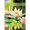 Messages from the Spirits of Nature Oracle kortos Hay House