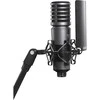 Mikrofonas - Godox XMic100GL Large Diaphragm Cardioid Condenser 24K Gold