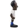 MINIX PELE - ESCAPE TO VICTORY