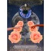 Muse Oracle Press Oracle kortų rinkinys - Mystic's Imaginarium 44 Kortų Rinkinys Gidas