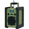 Blaupunkt PP35BT Survival Radio Player
