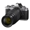 Nikon Z fc + NIKKOR Z DX 16-50mm f/3.5-6.3 VR + NIKKOR Z DX 50-250mm f/4.5-6.3 VR (Sidabrinis)