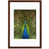Nuotraukų Rėmelis - GOLDBUCH Rėmas GB 900715 20x30/15x20 Medinis Mahagonas
