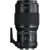 Objektyvas FUJIFILM FUJINON GF 250mm F4 R LM OIS WR