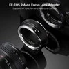 Kiwifotos K&amp;F Concept maišelių adapteriai – „Canon EF“ / „Canon RF“