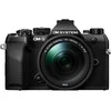 Olympus OM SYSTEM OM-5 Mark II + M.ZUIKO DIGITAL ED 14-150mm F4-5.6 II (Juodas)