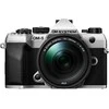 Olympus OM SYSTEM OM-5 Mark II + M.ZUIKO DIGITAL ED 14-150mm F4-5.6 II (Sidabrinis)