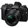Olympus OM SYSTEM OM-5 + M.ZUIKO DIGITAL ED 12-45mm F4 PRO (Juodas)
