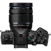 Olympus OM SYSTEM OM-5 + M.ZUIKO DIGITAL ED 12-45mm F4 PRO (Juodas)