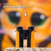 Optinis prietaisas - GPO Passion 8x32ED žiūronai 8x32mm atsparūs vandeniui oranžiniai