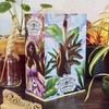 Oracle kortos The Metaphysical Cannabis Liminal 11