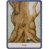 Orakulo Kortos The Wisdom Of Trees Watkins Publishing