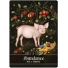 Orakulinių kortų kaladė - Hay House The Familiar Magic Pocket Oracle Cards, 44 kortelės, 10 × 7,5 × 3,5 cm