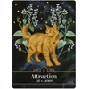 Orakulinių kortų kaladė - Hay House The Familiar Magic Pocket Oracle Cards, 44 kortelės, 10 × 7,5 × 3,5 cm